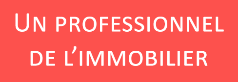 Professionnel de l'immobilier